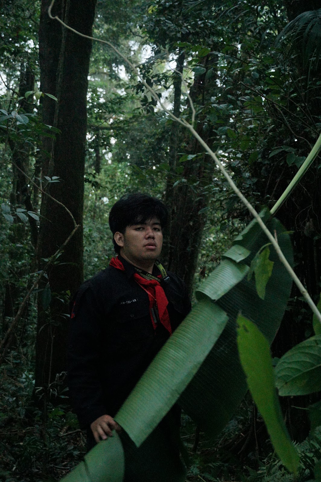 LDK00523.JPG
