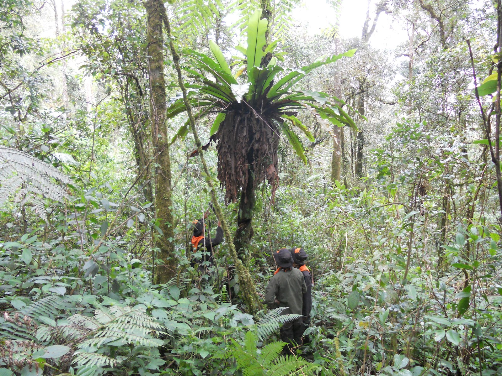 DSCN1561.JPG