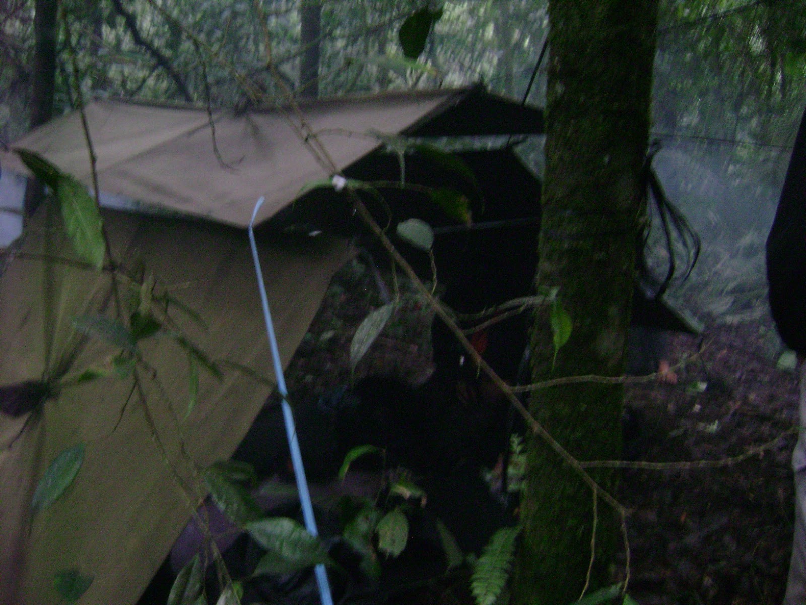 DSC07932.JPG