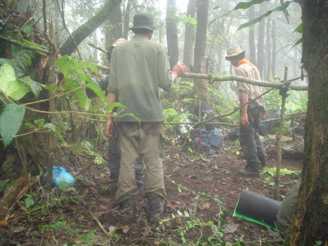 DSC02033.JPG