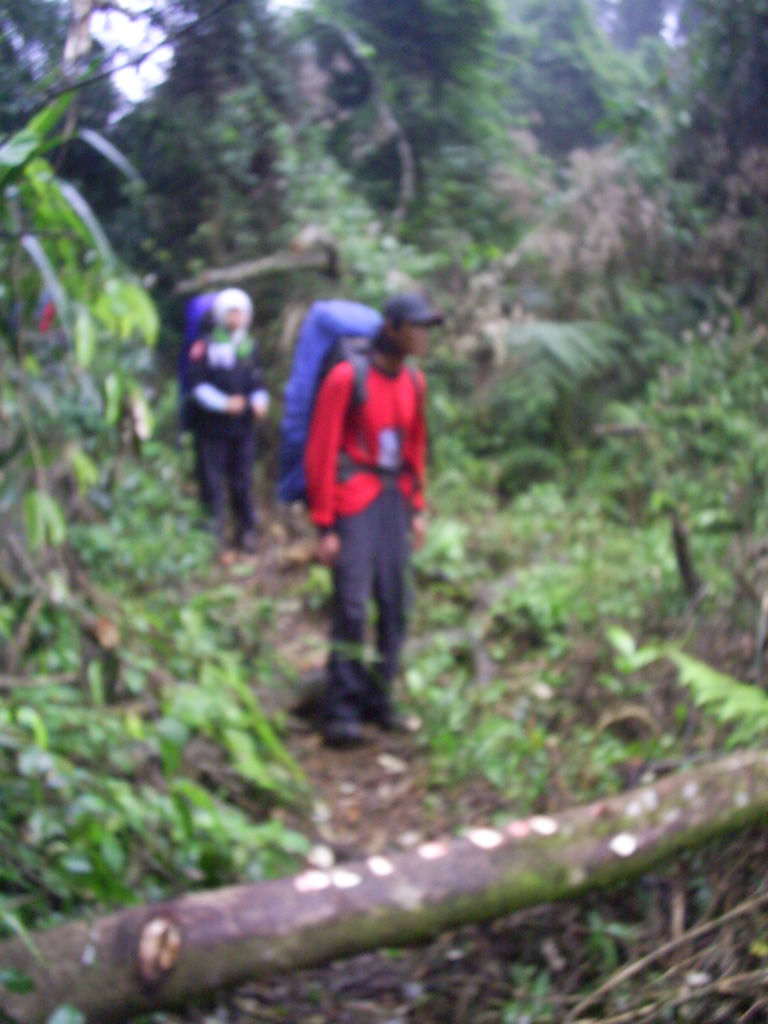 Survey PDA XIV Gunung Hutan dan SAR - 018.JPG