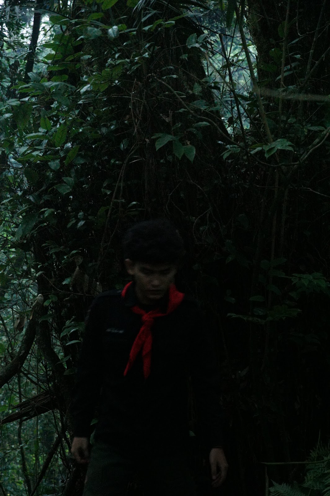 LDK00502.JPG