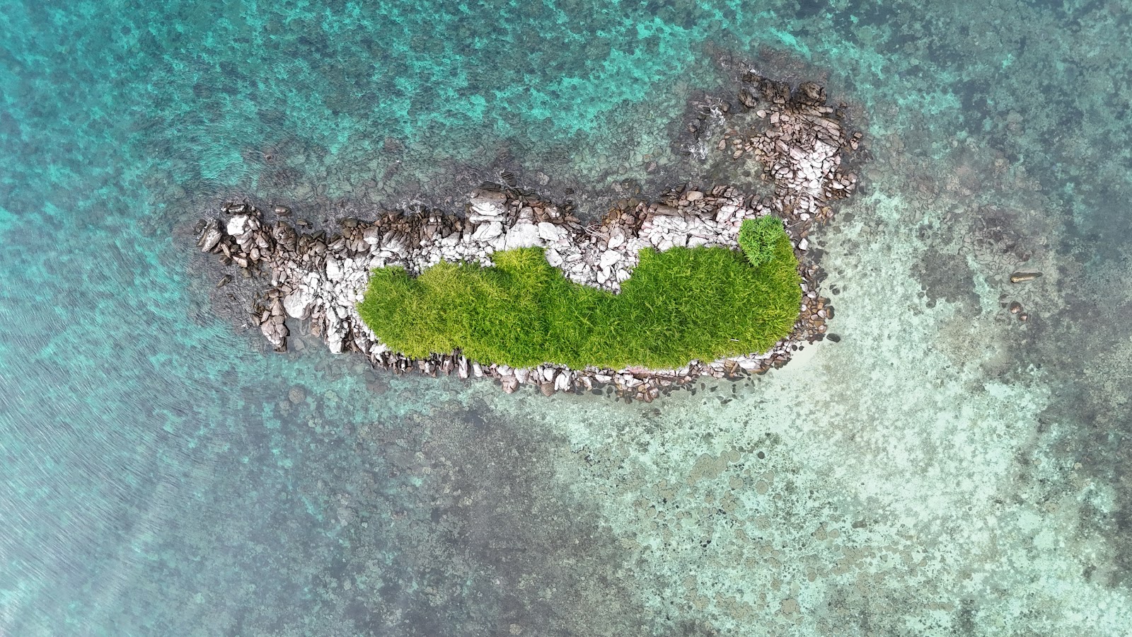 DJI_20250512090753_0095_D.JPG