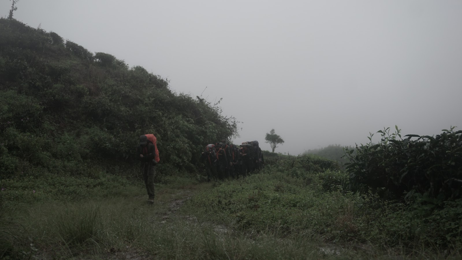 DSC08878.JPG