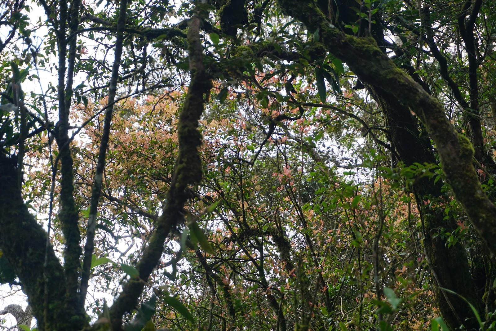 DSC07857.JPG