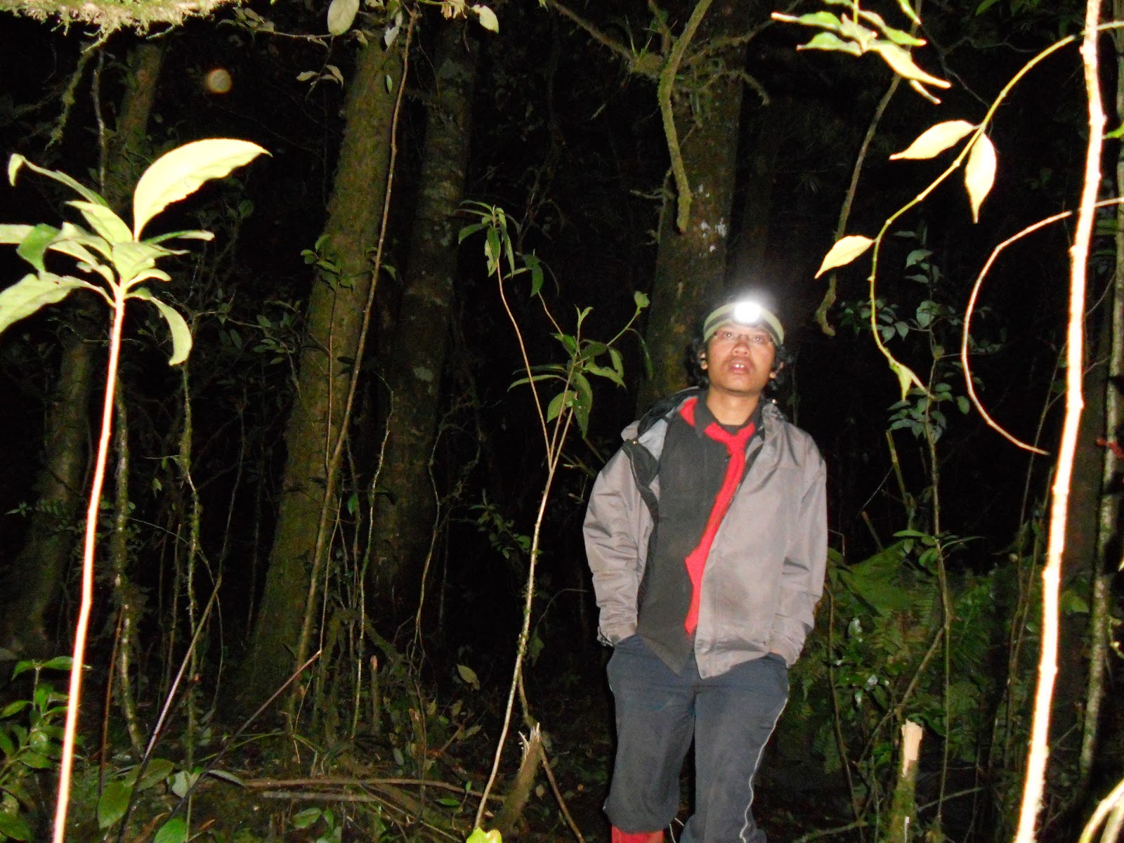 DSCN1523.JPG