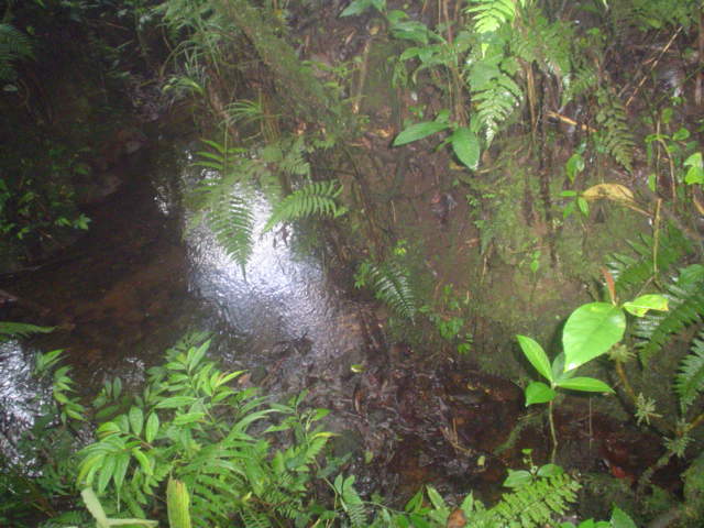 DSC01502.JPG