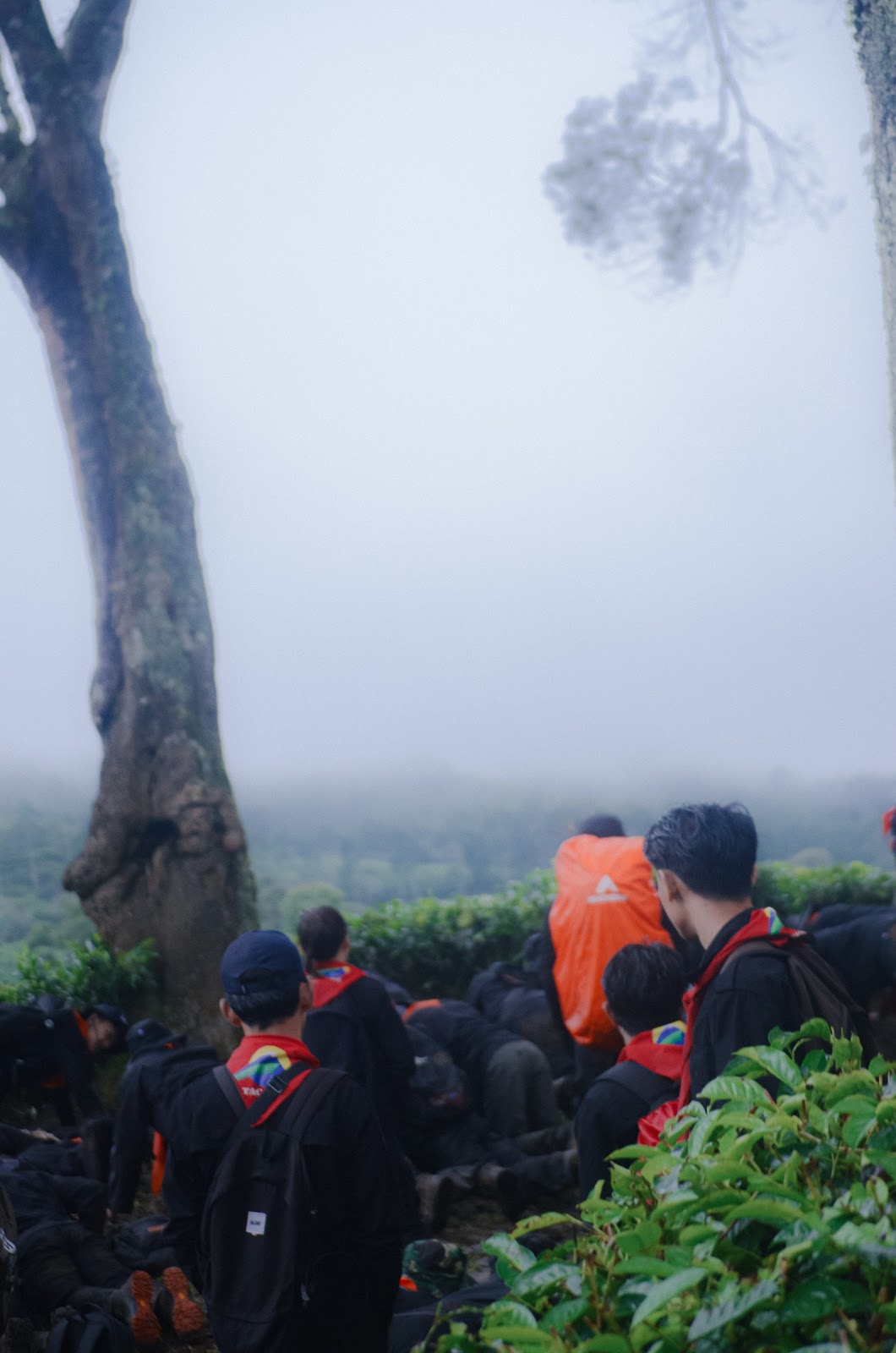 Mountaineering Course-131.jpg