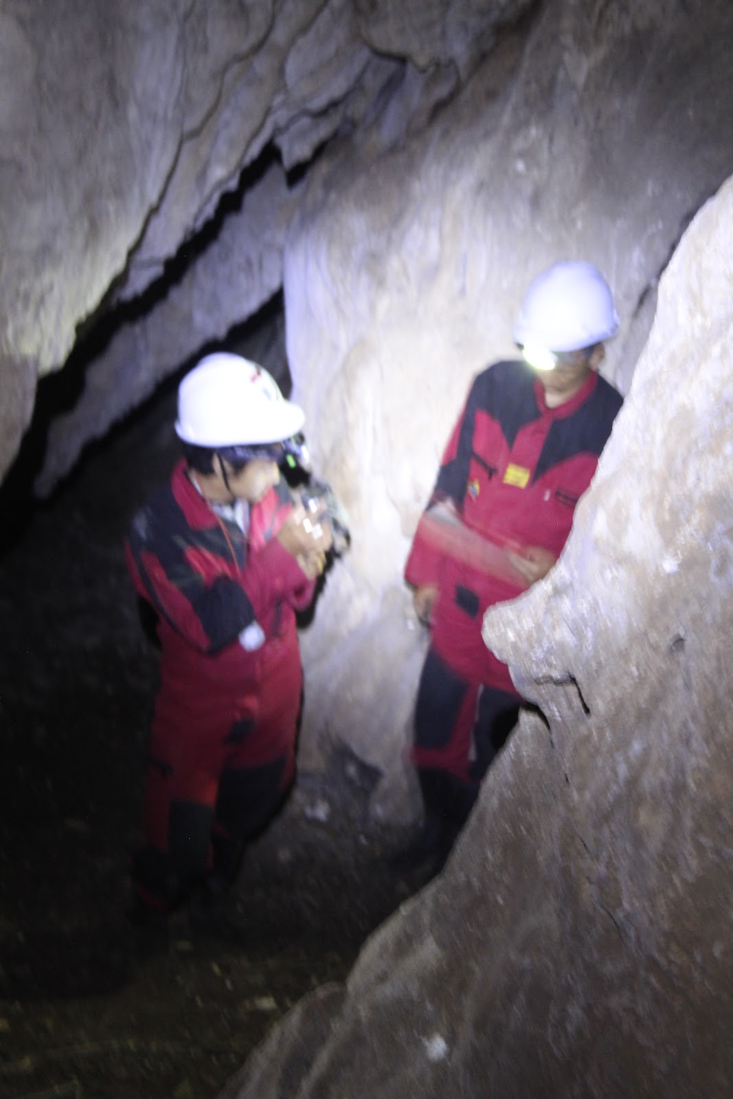 _MG_8739.JPG