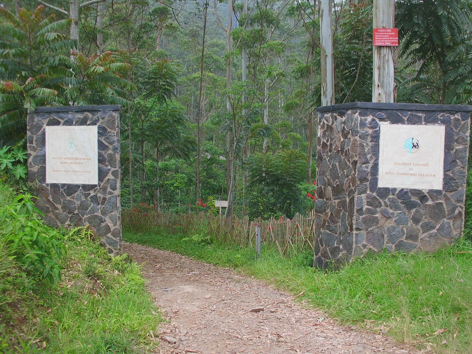 CIMG0771.JPG