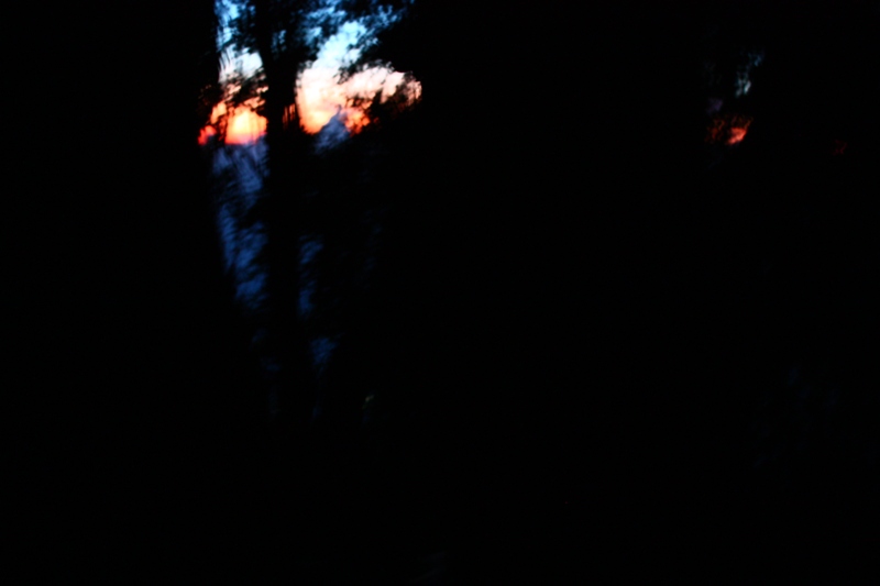 IMG_1665.JPG