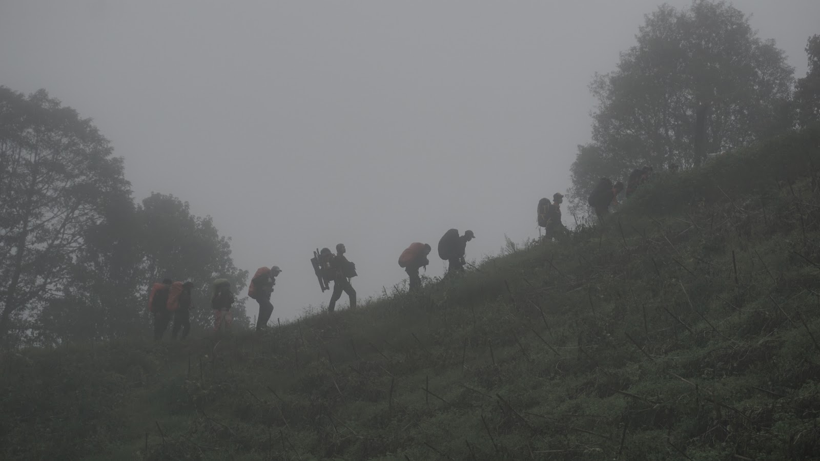 DSC08893.JPG