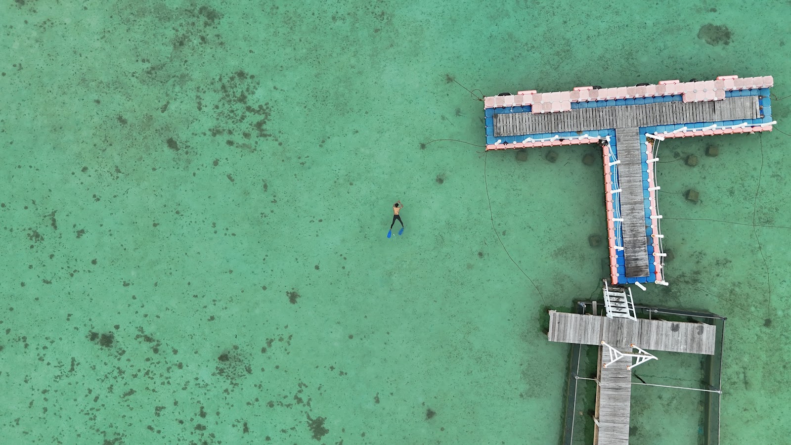 DJI_20250512073750_0082_D.JPG