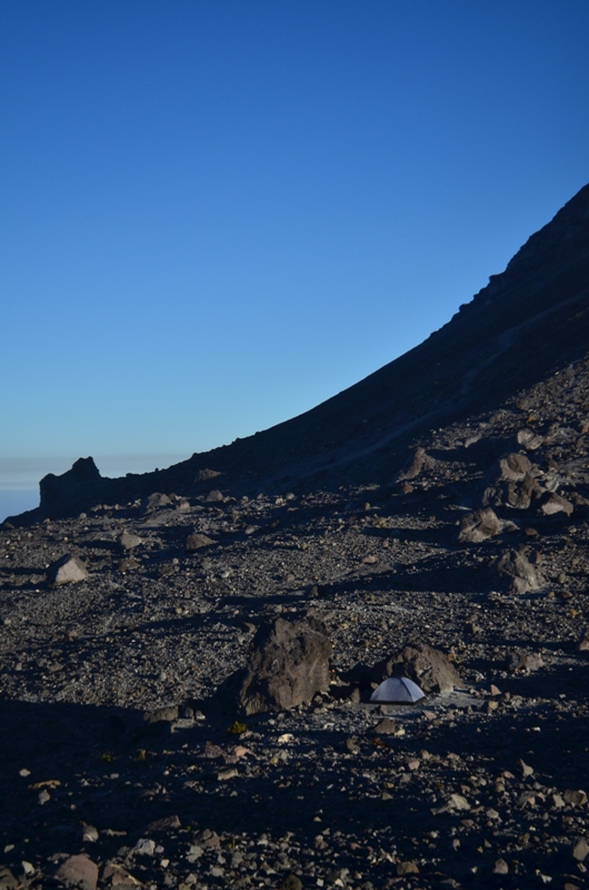 DSC_0080.JPG