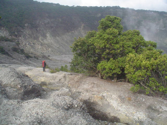 DSC01590.JPG