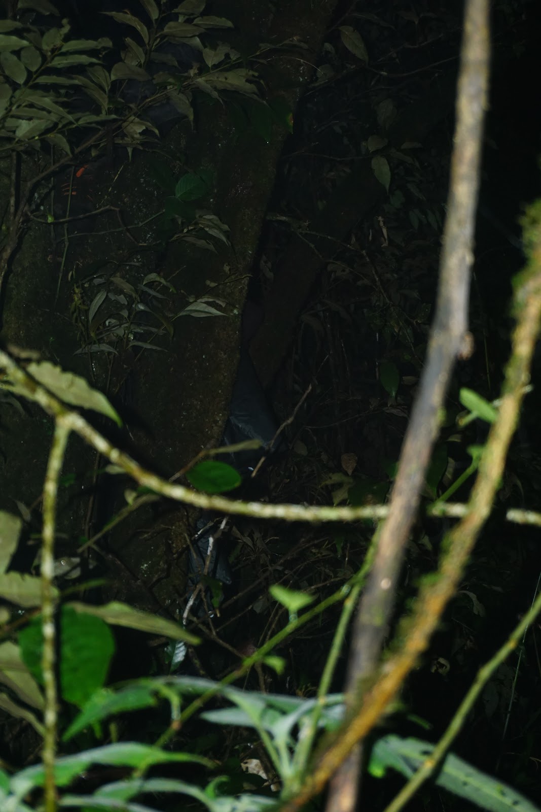 DSC07965.JPG