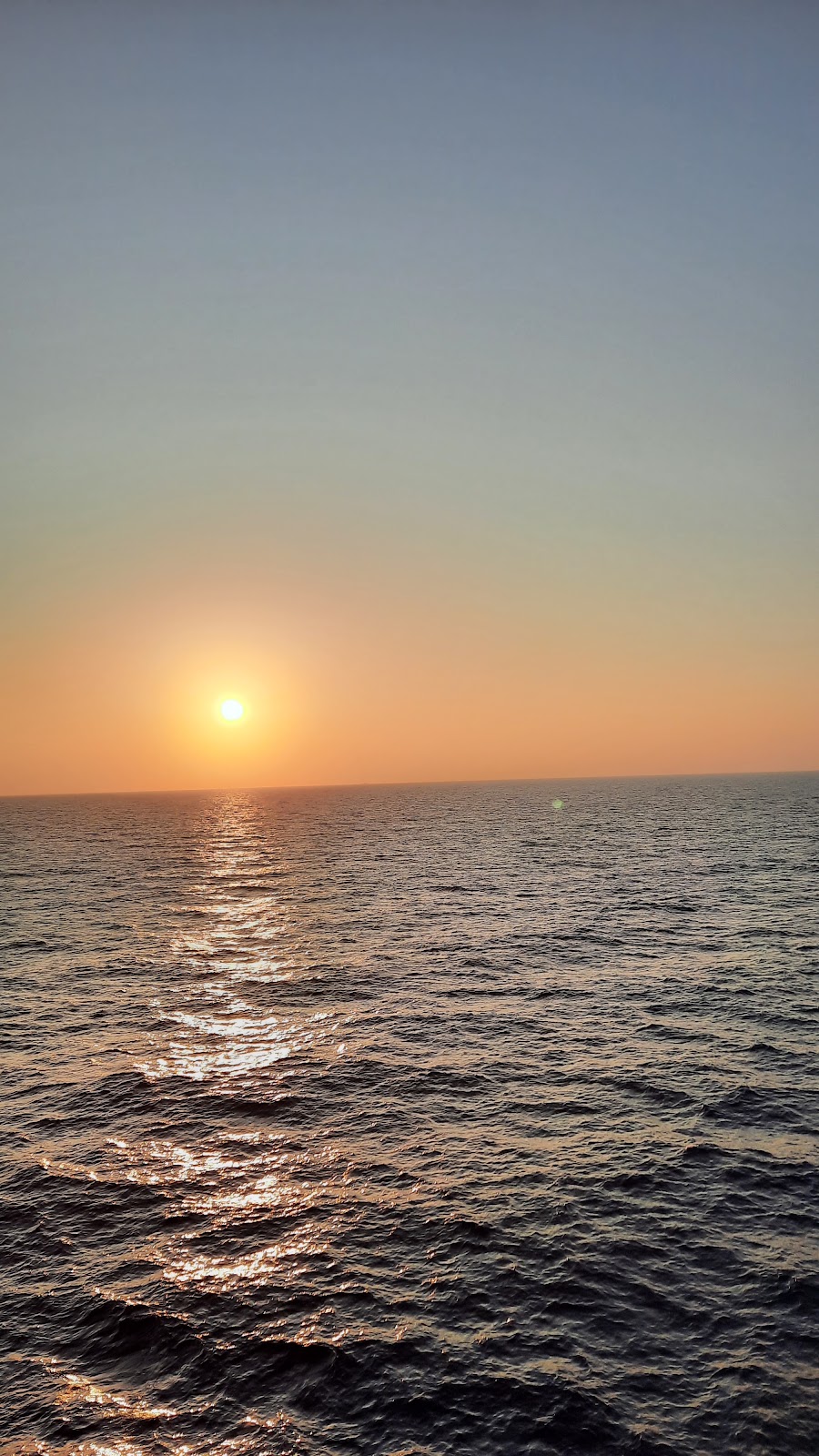 20250726_175949.jpg