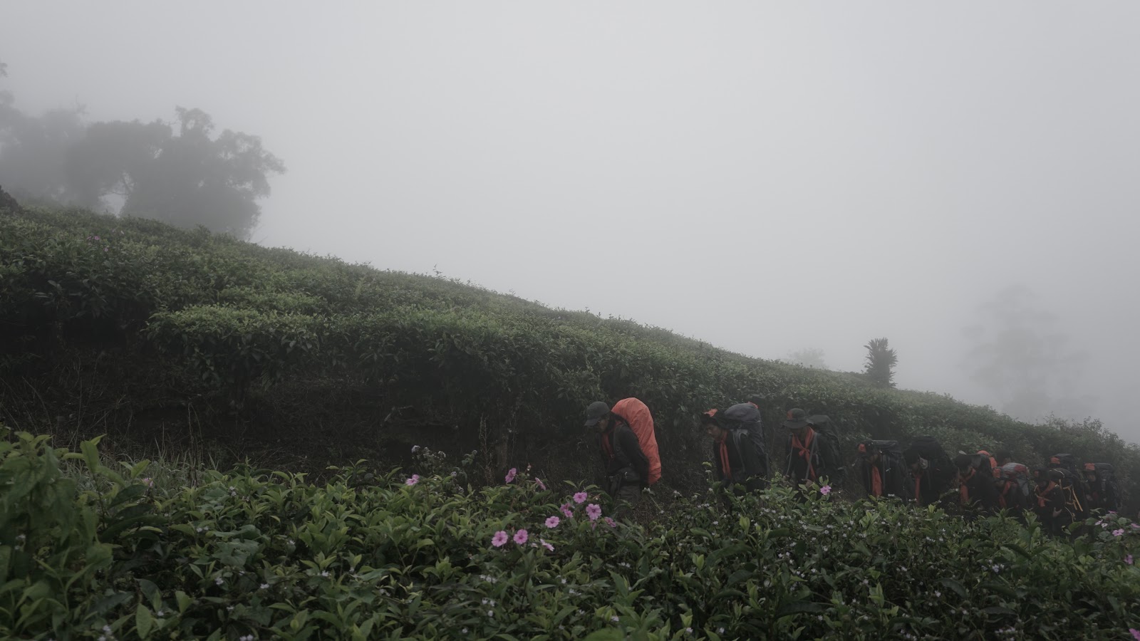 DSC08903.JPG