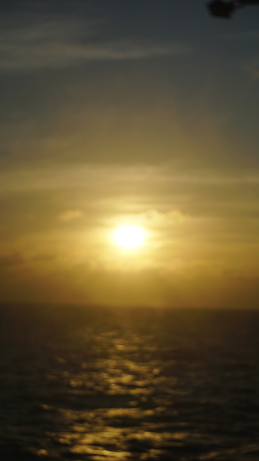 DSC02823.JPG