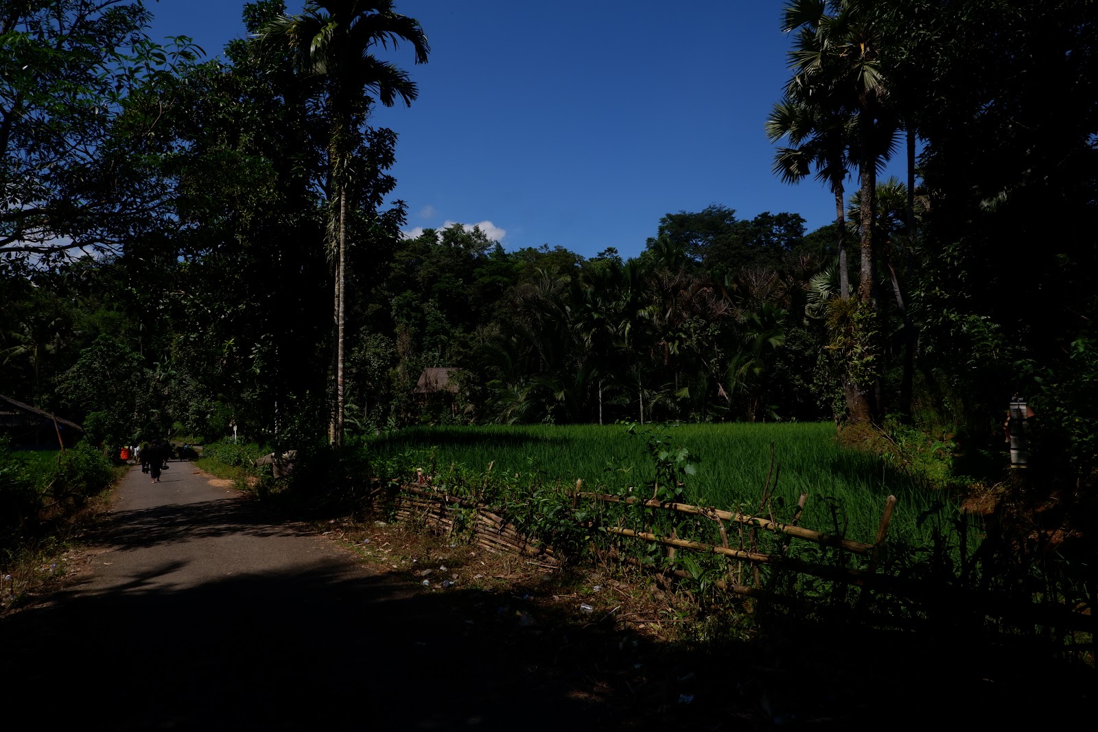 DSCF2111.JPG