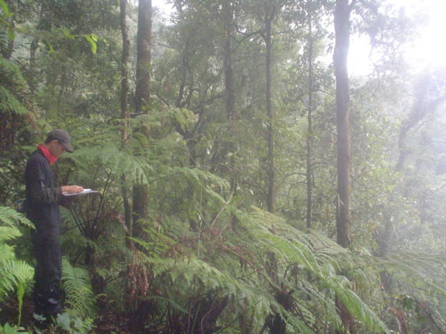 DSC01387.JPG