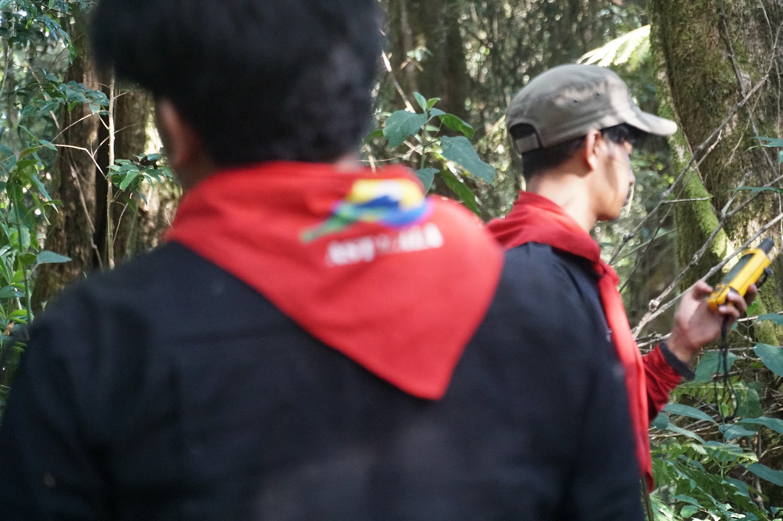 LDK00552.JPG