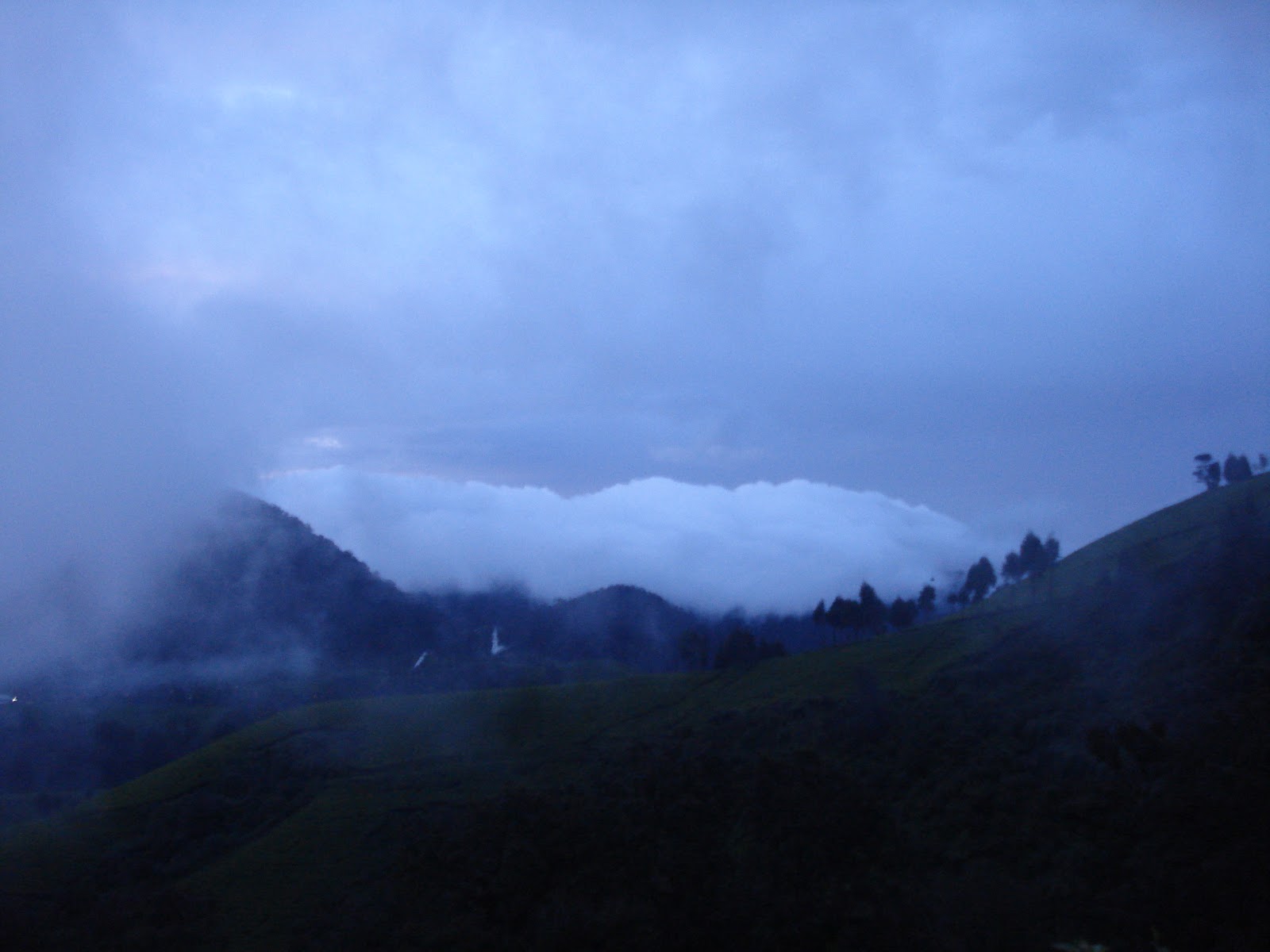 DSC05235.JPG