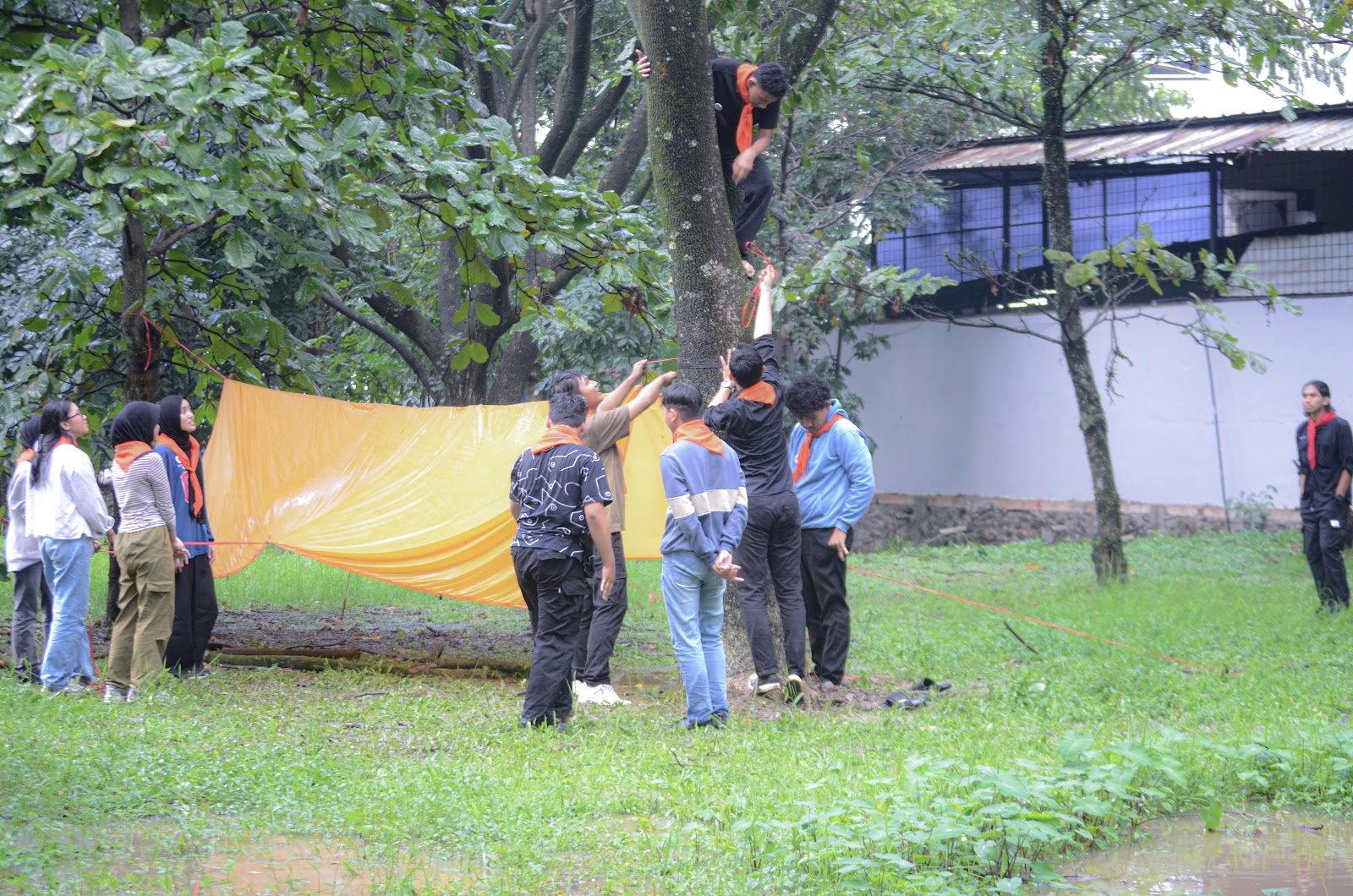 GH & SurvivalL.jpg
