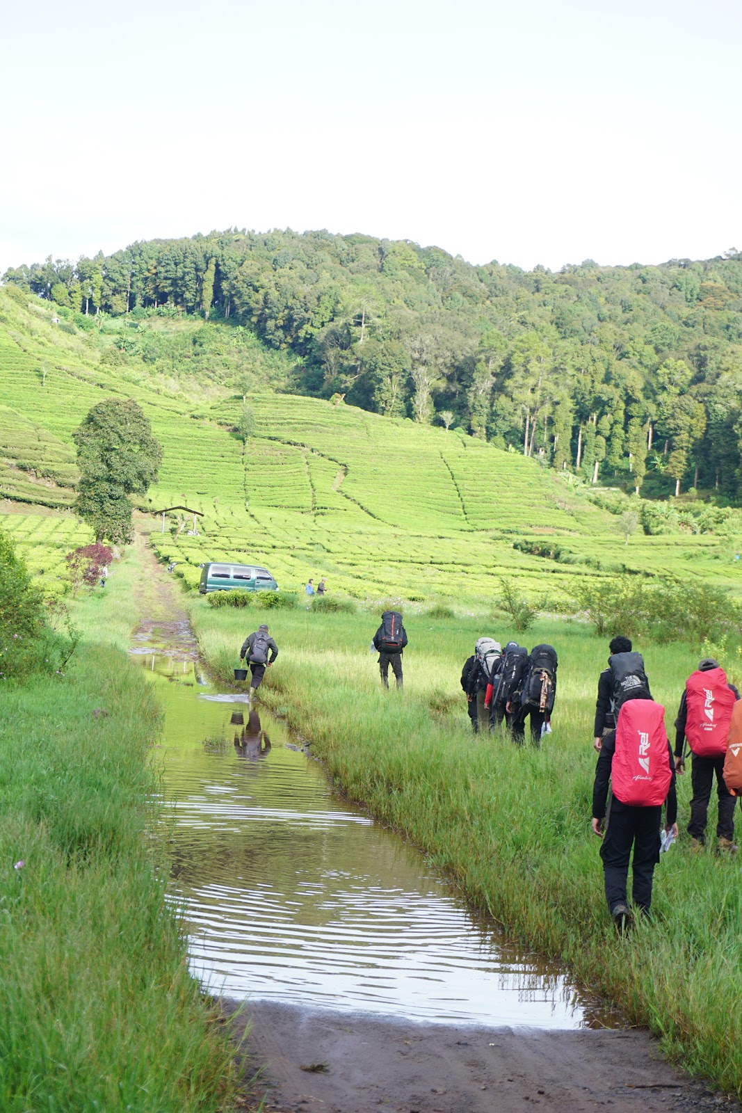 DSC07814.JPG