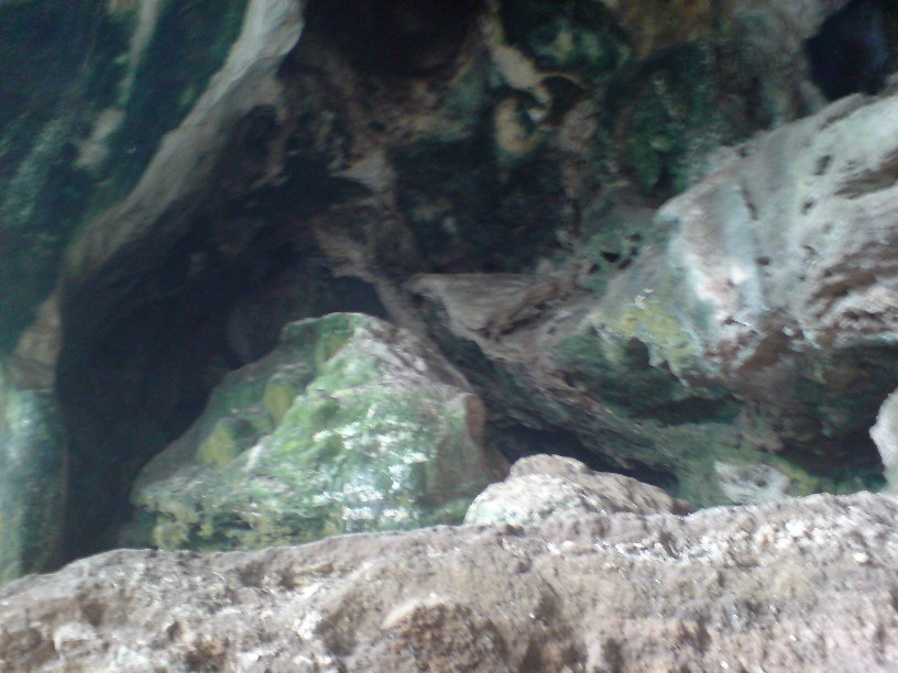 DSC00104.jpg
