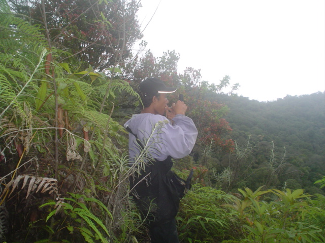 Survey PDA XIII Survival - 026.JPG