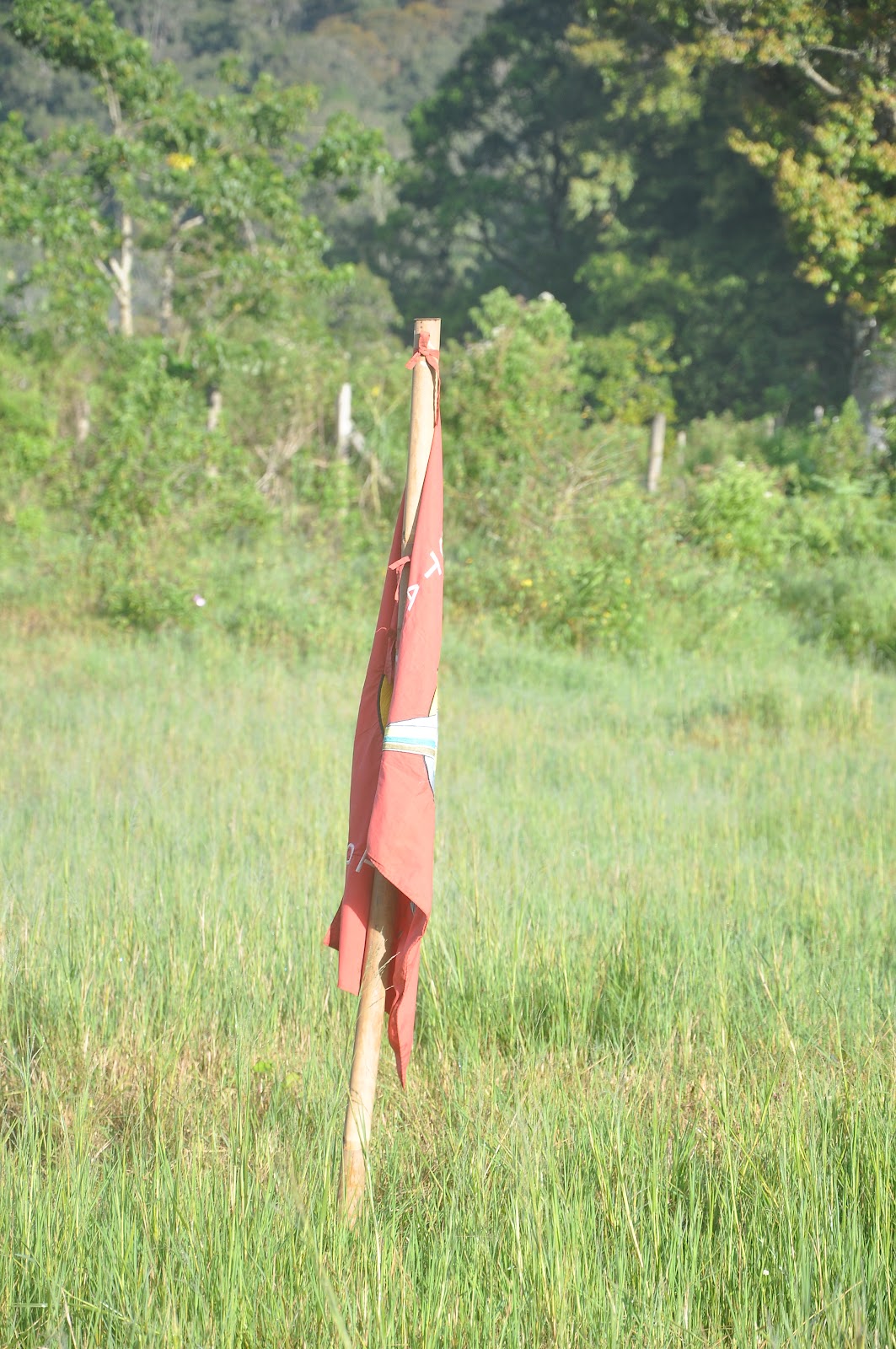 DSC_0420.JPG