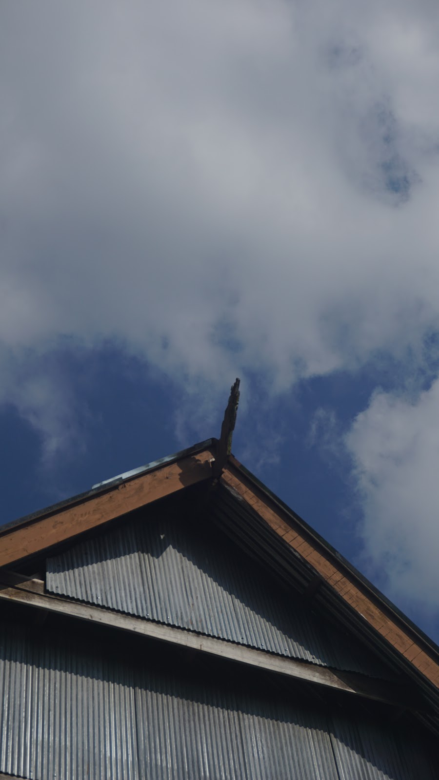 DSC02895.JPG
