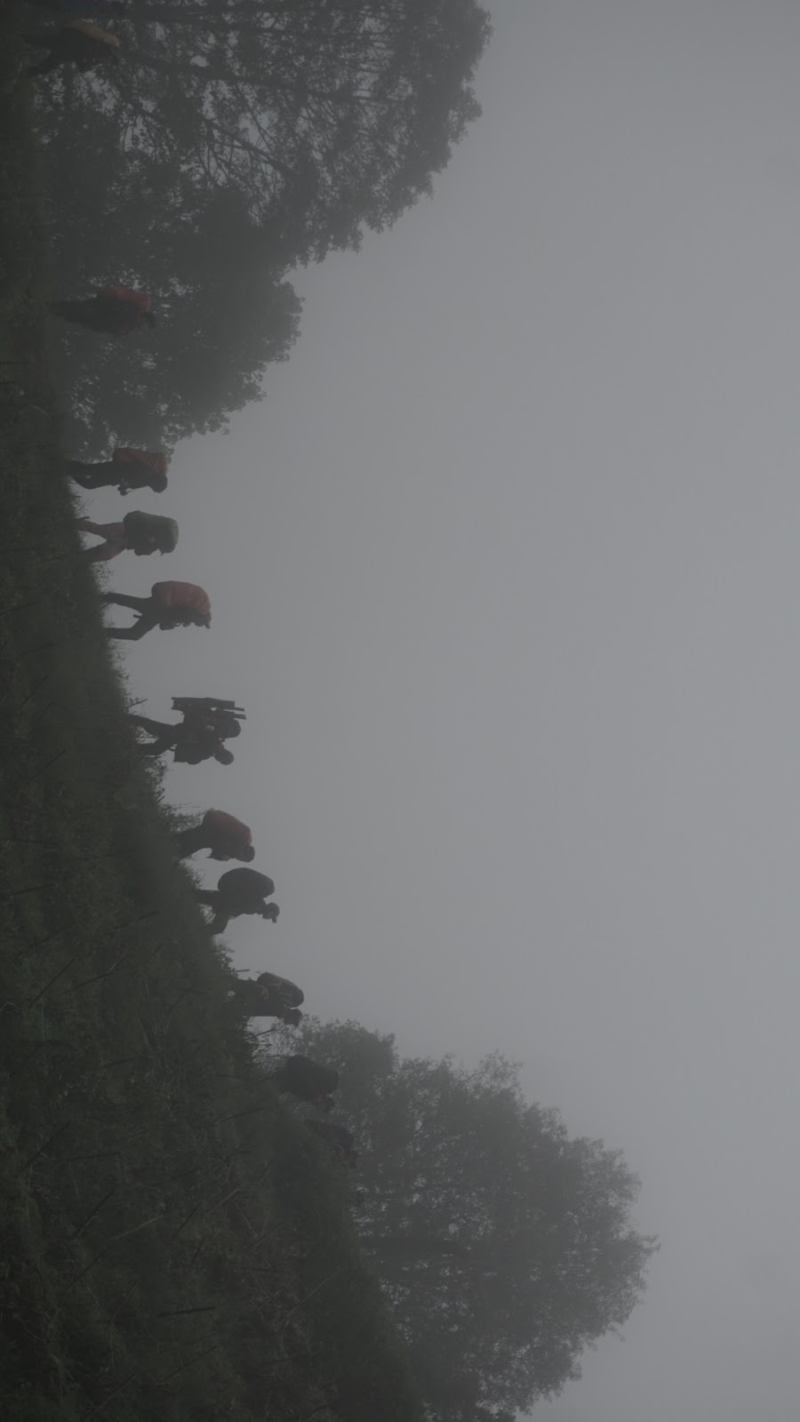 DSC08894.JPG