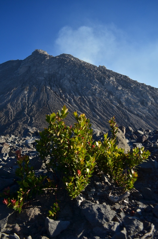 DSC_0075.JPG