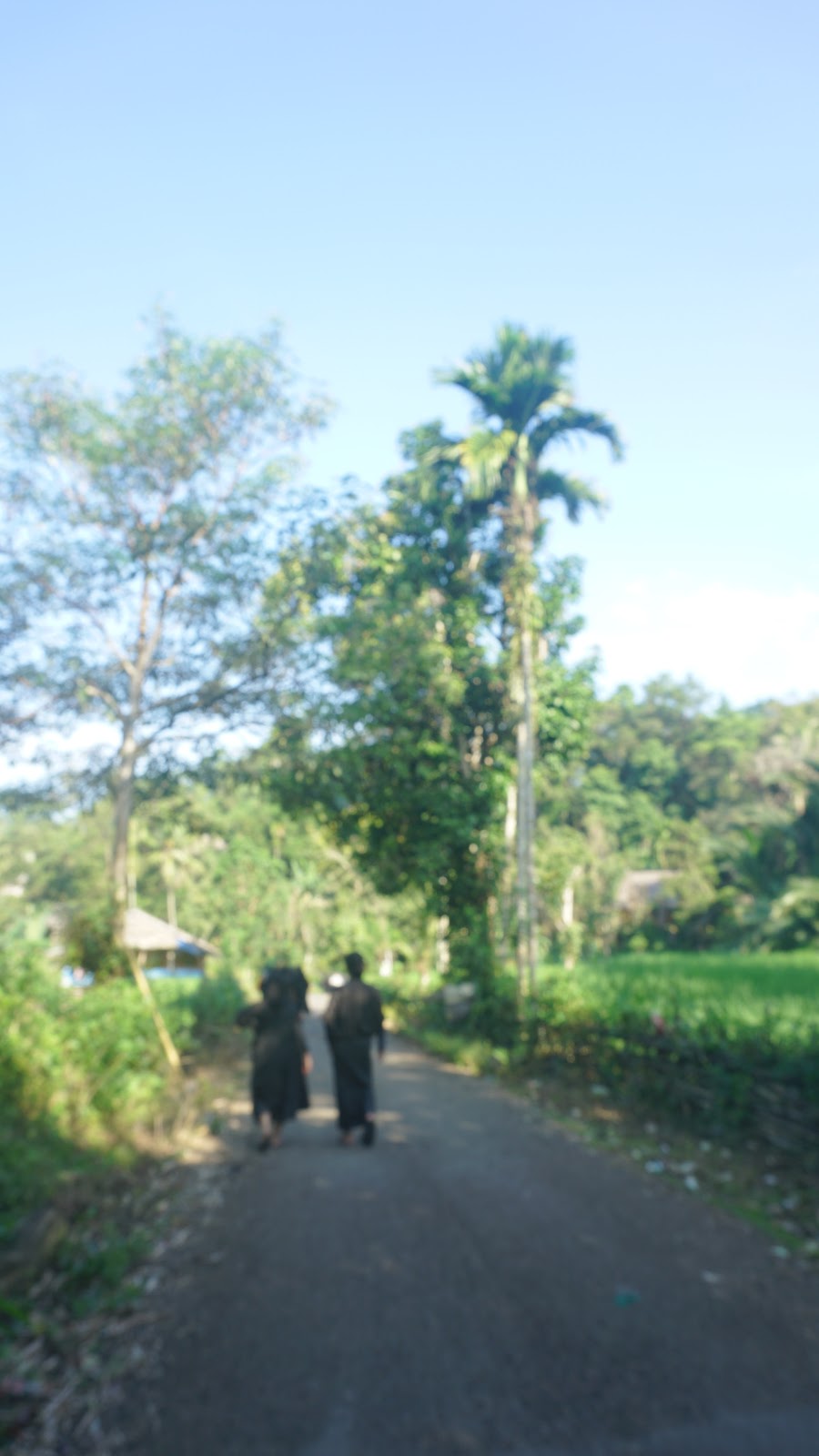 DSC02907.JPG