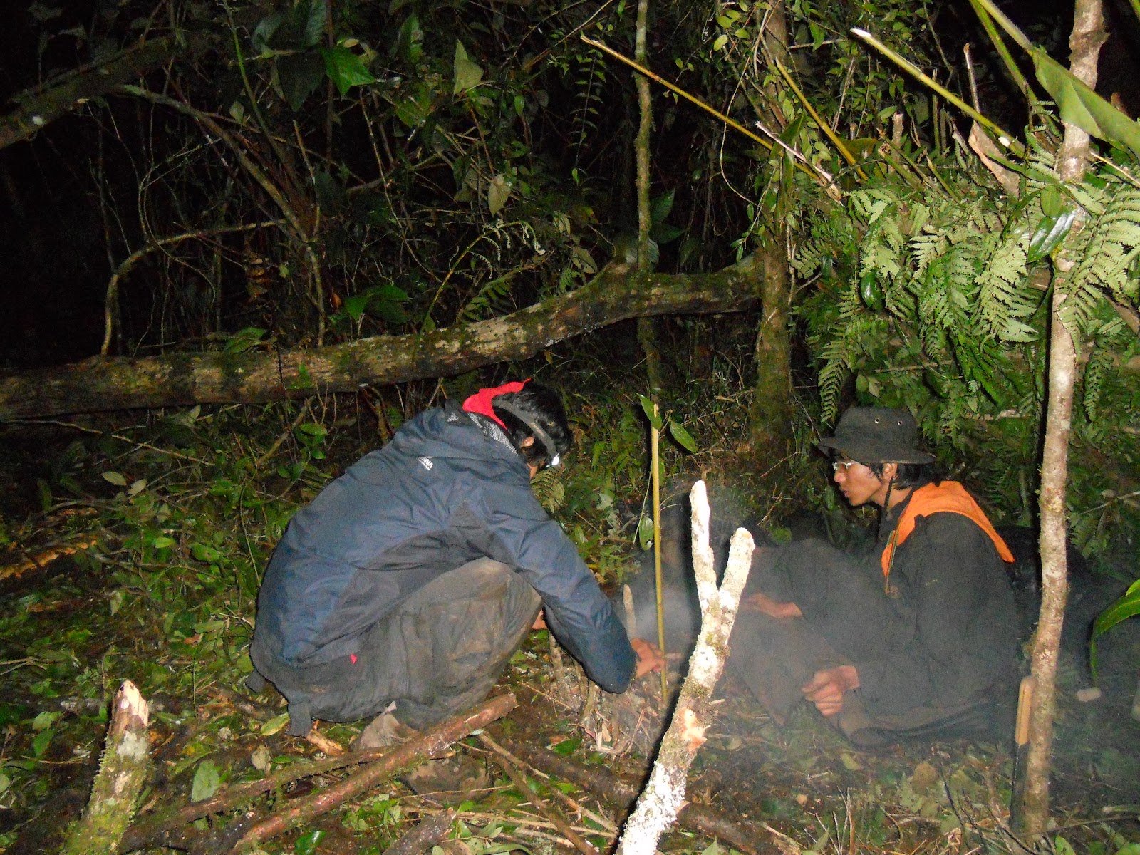 DSCN1520.JPG