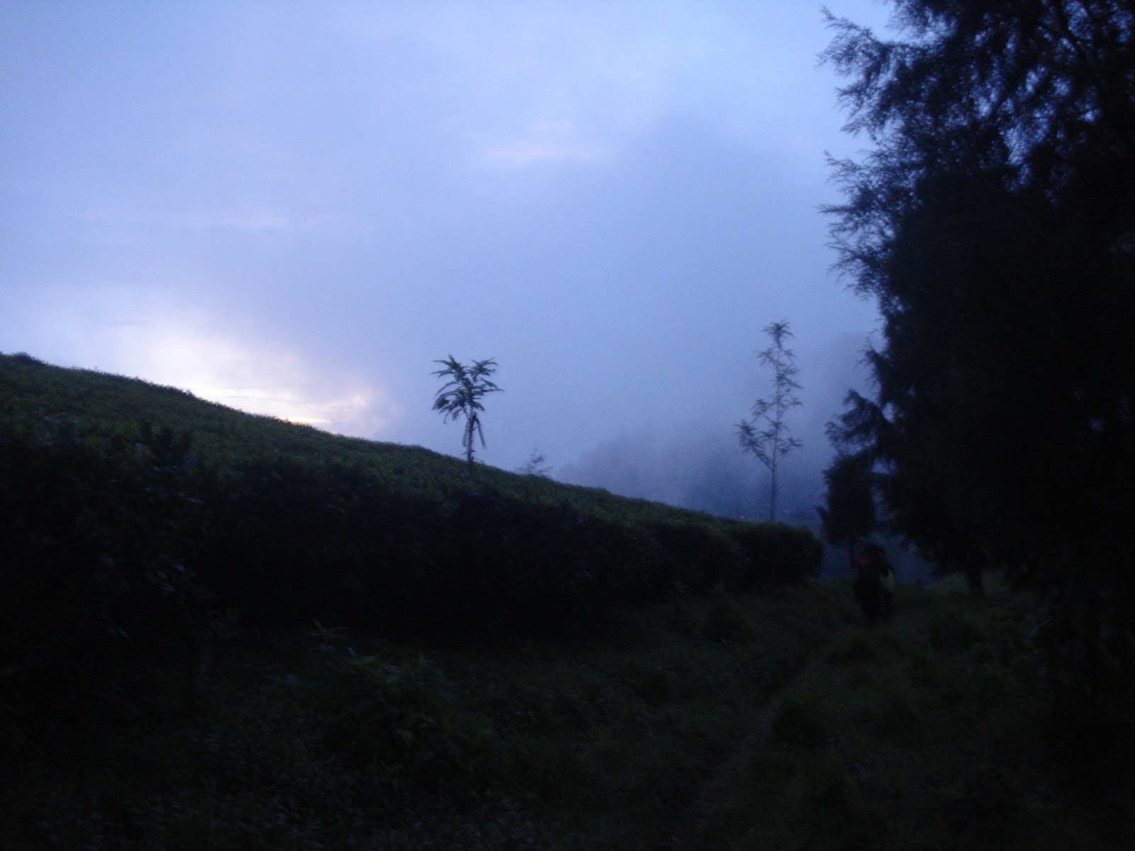 DSC05242.JPG