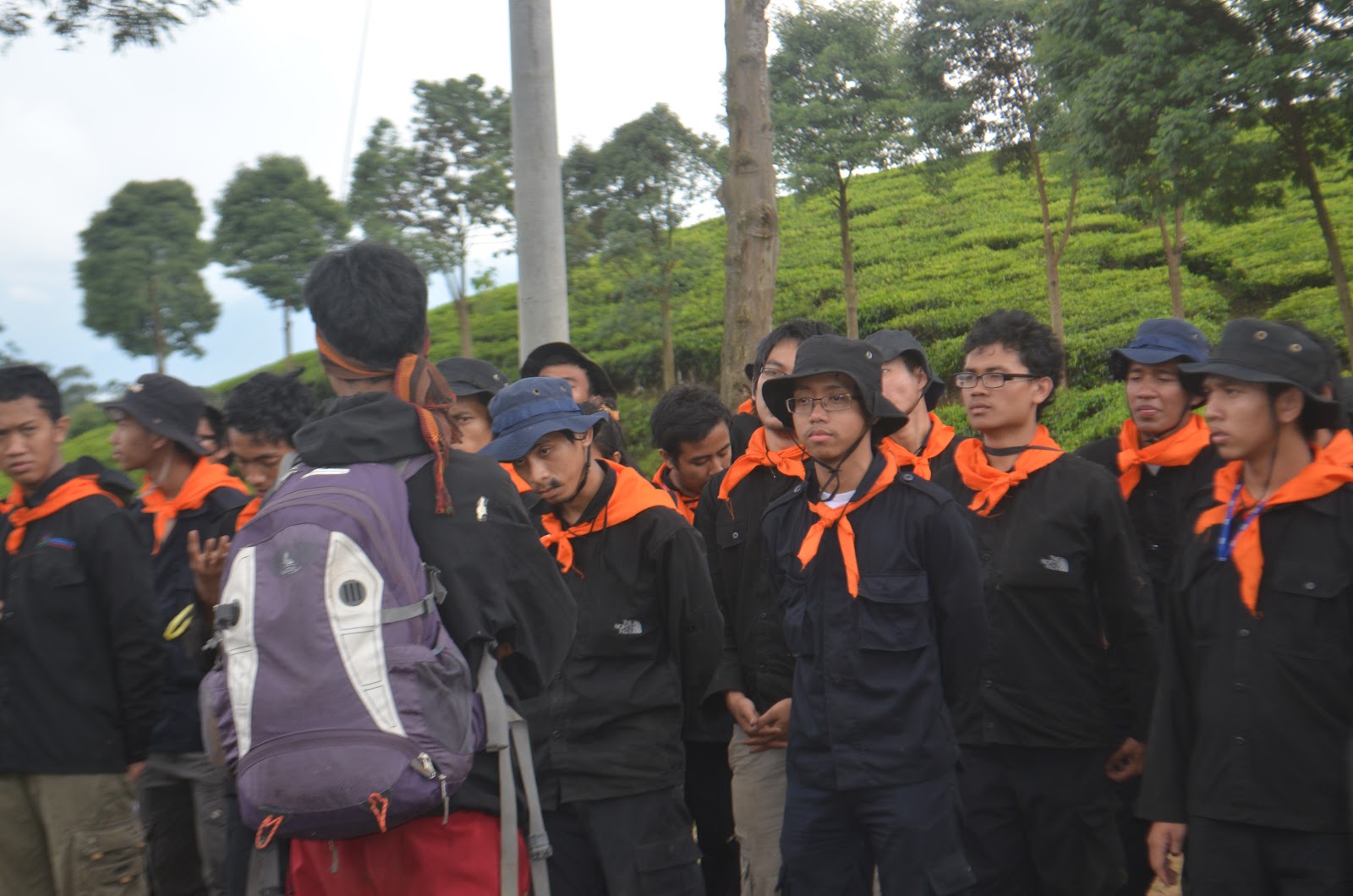 DSC_1391.JPG