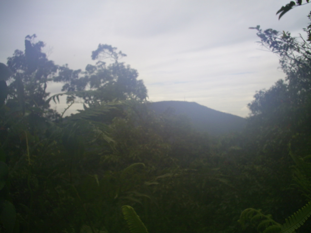 Survey PDA XIV Gunung Hutan dan SAR - 031.JPG