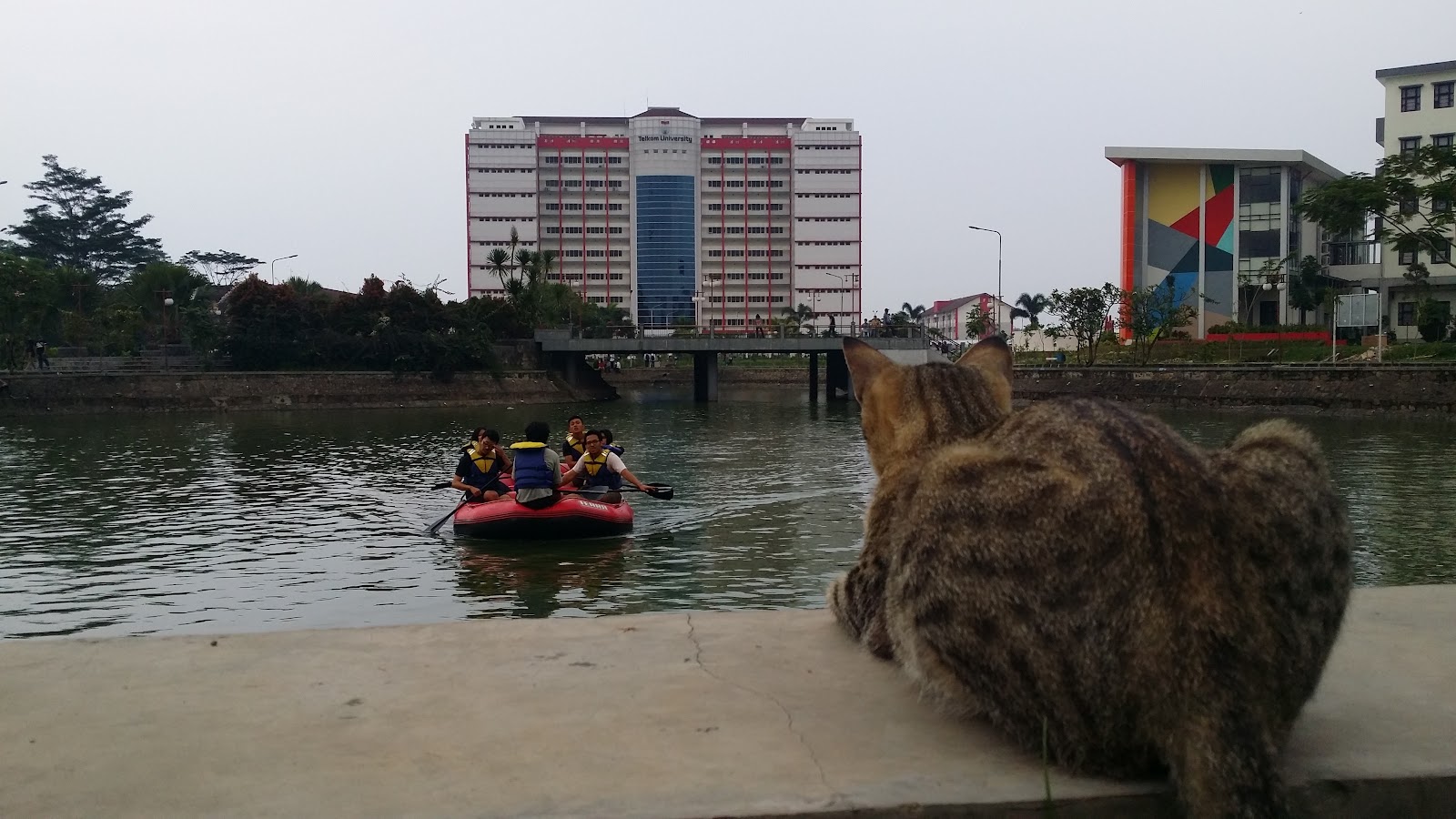 20160914_180959.jpg