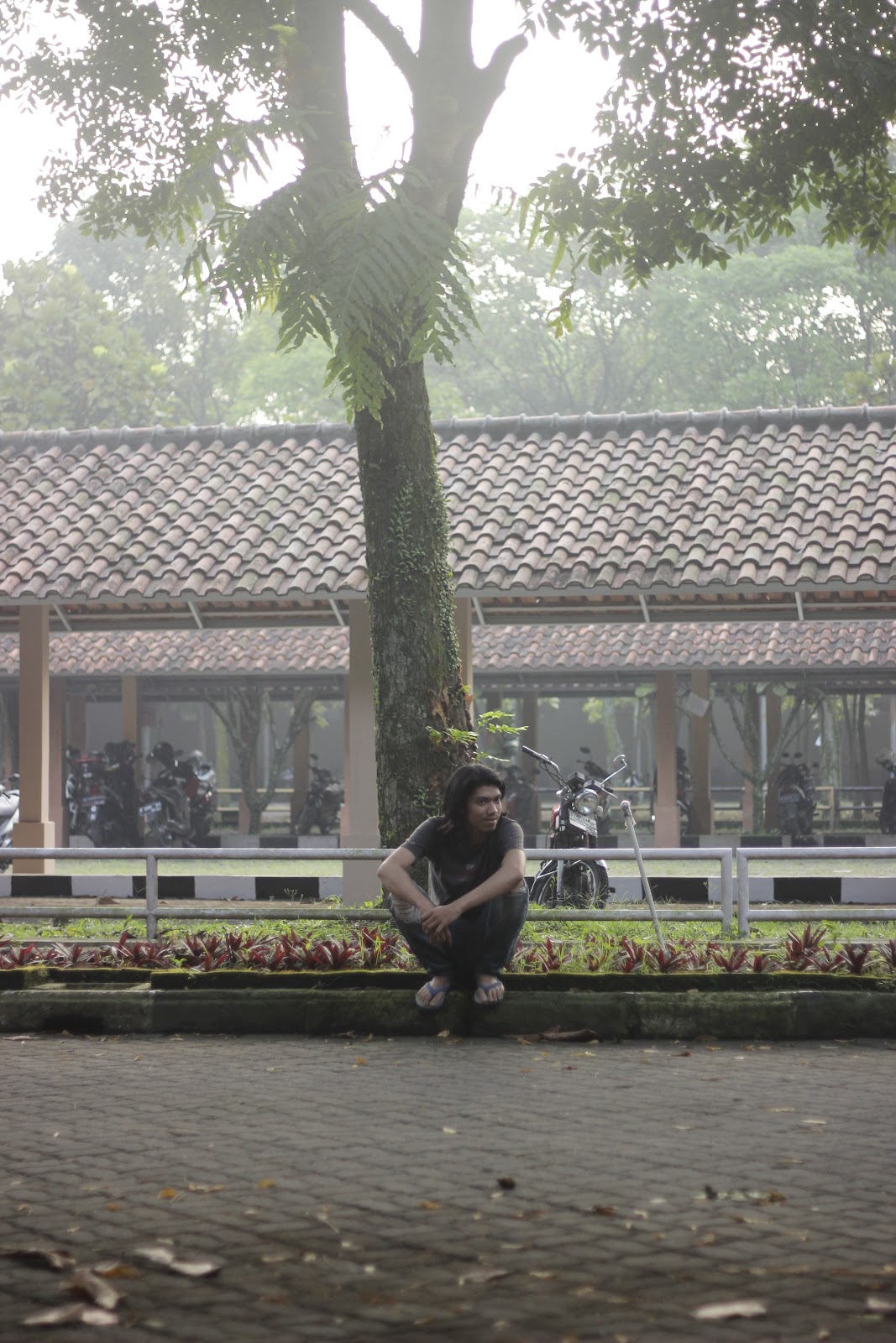 _MG_6510.JPG