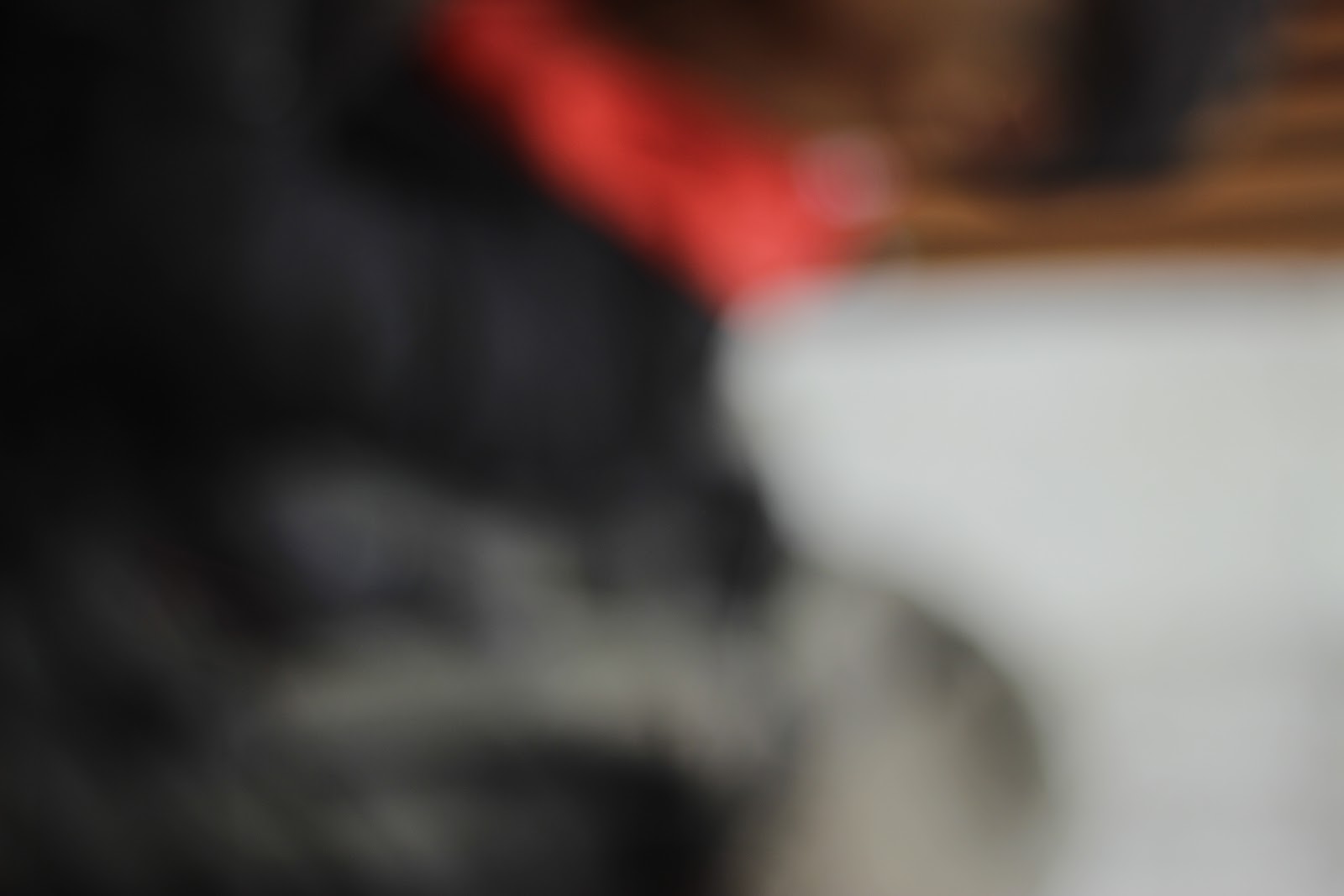 _MG_6697.JPG