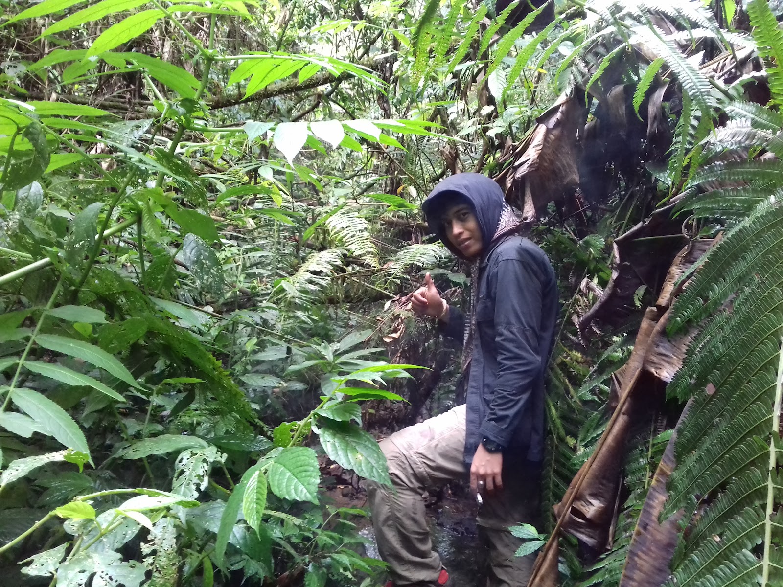 20151031_134603.jpg