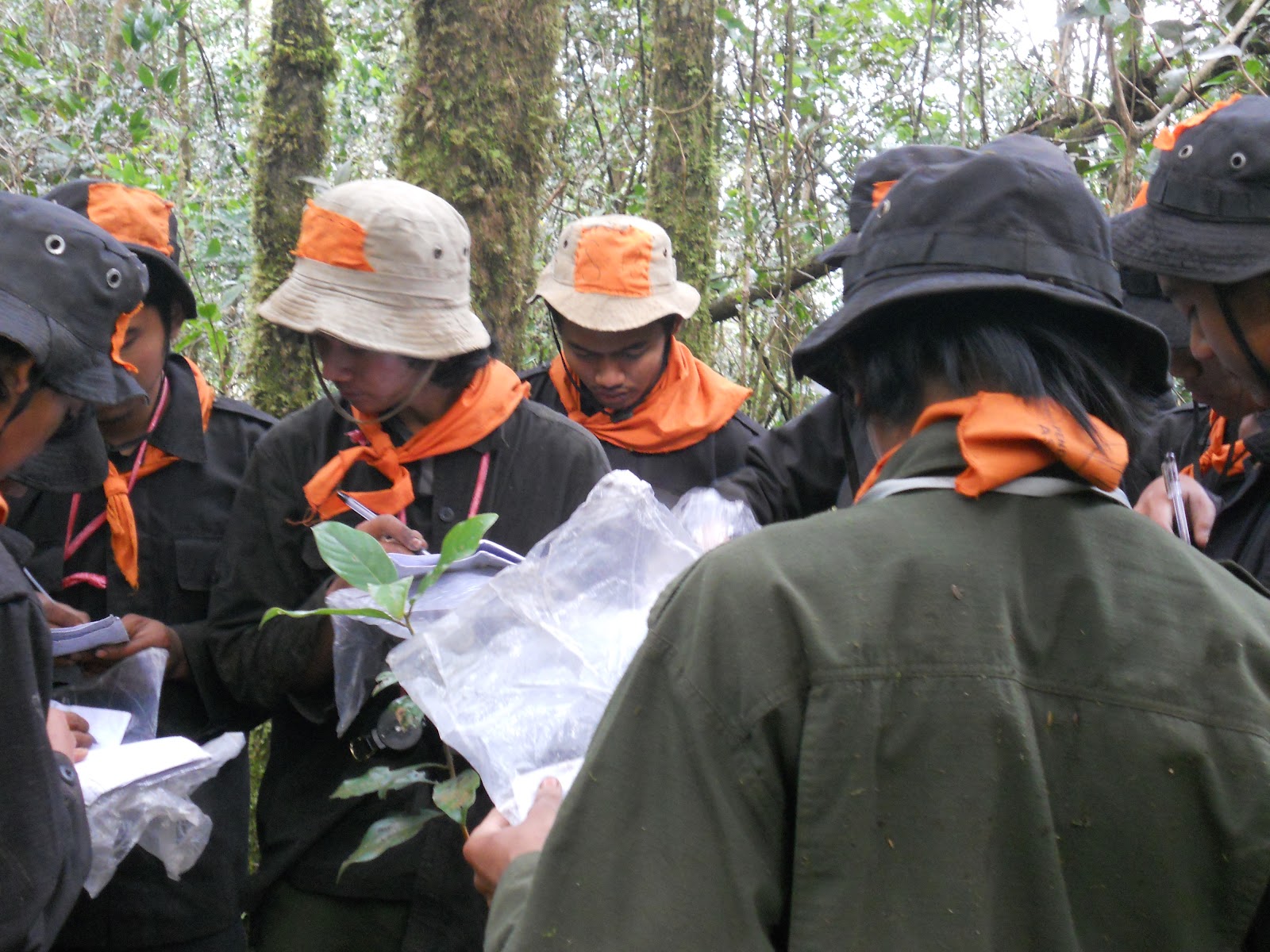 DSCN1542.JPG