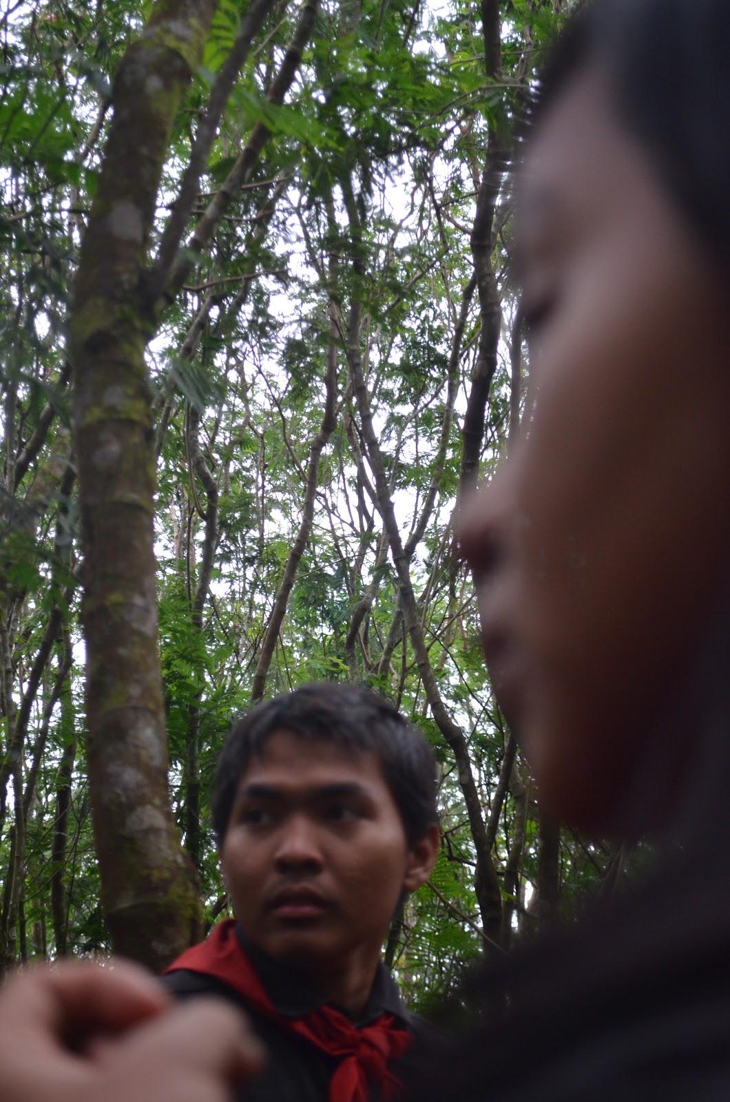 DSC_0175.JPG
