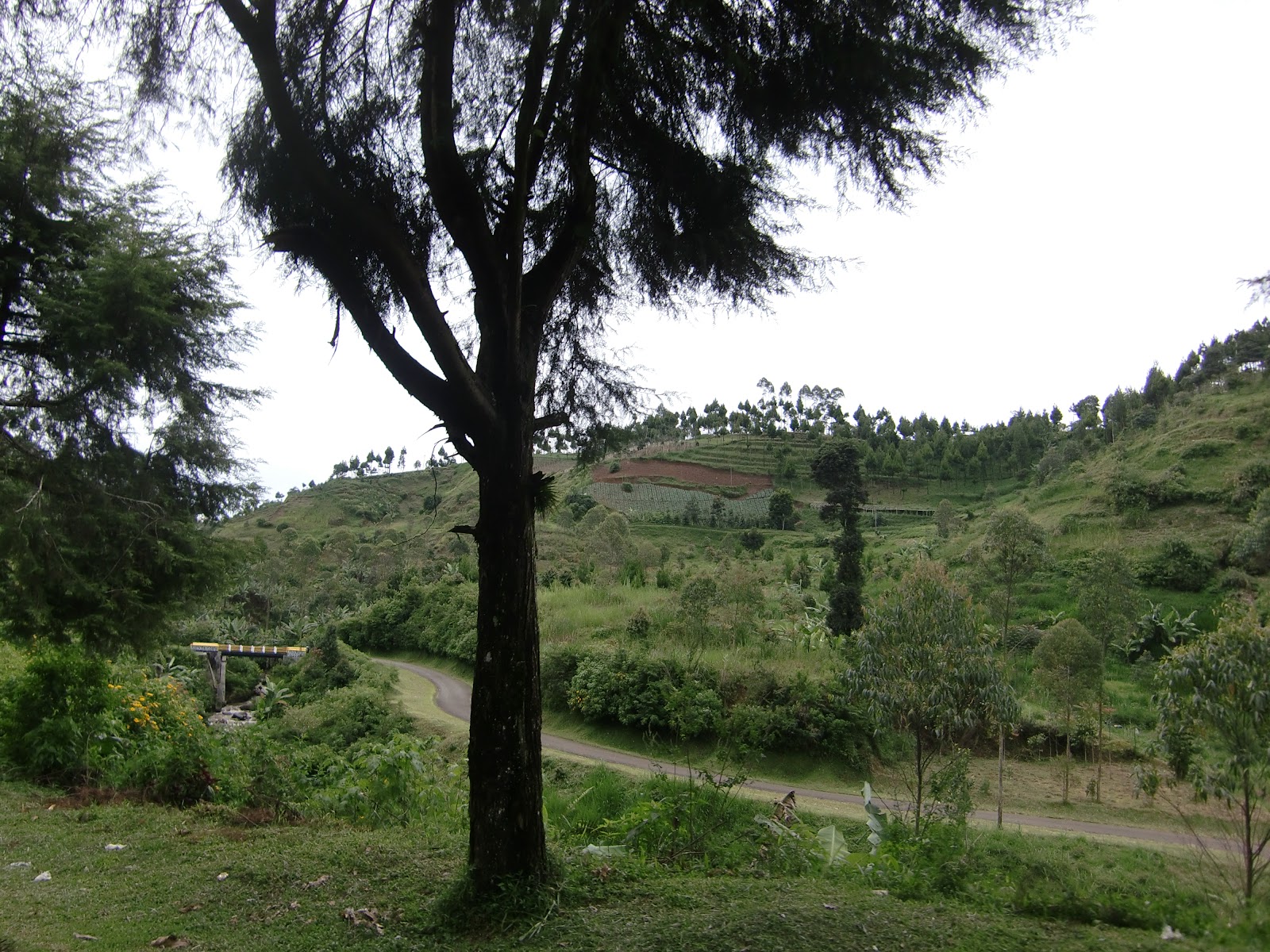 CIMG2880.JPG