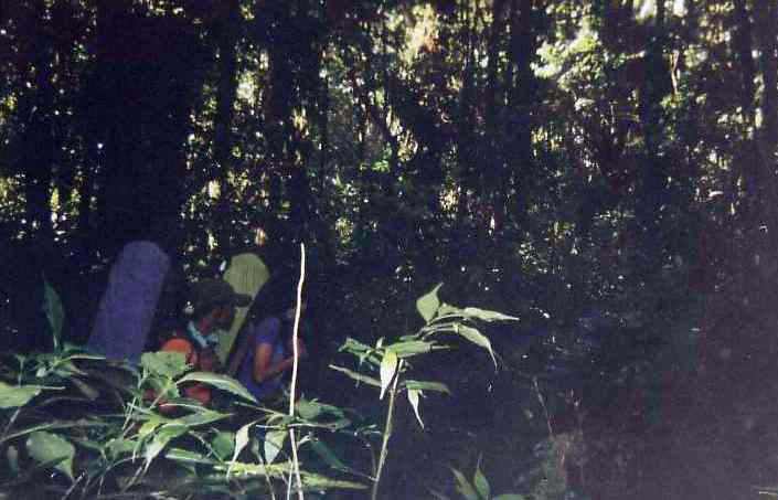 ple 23.jpg
