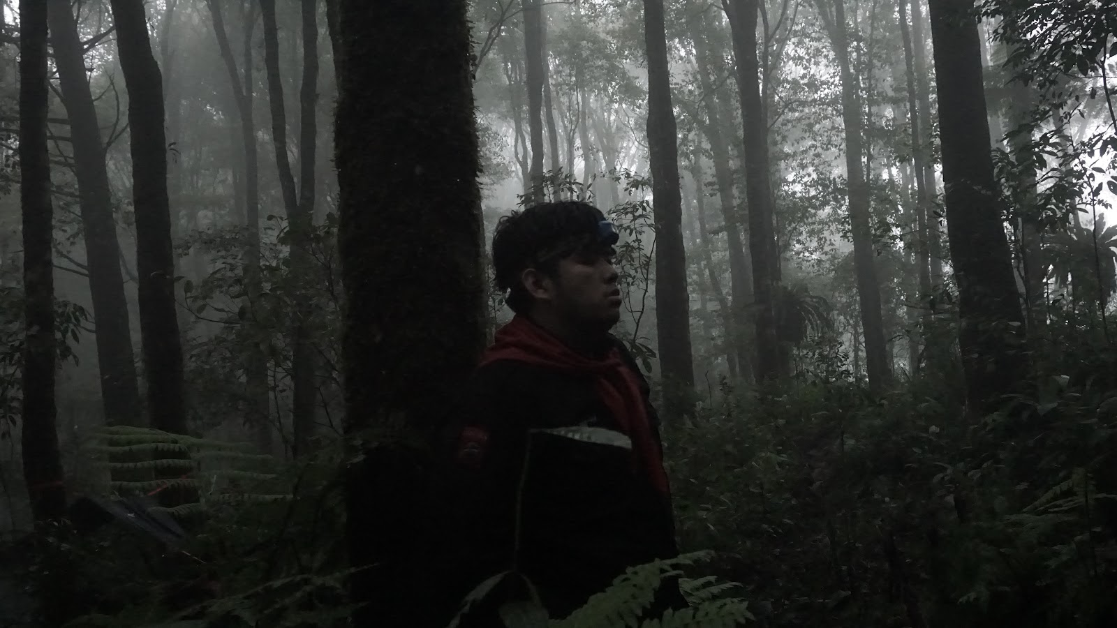 DSC09038.JPG