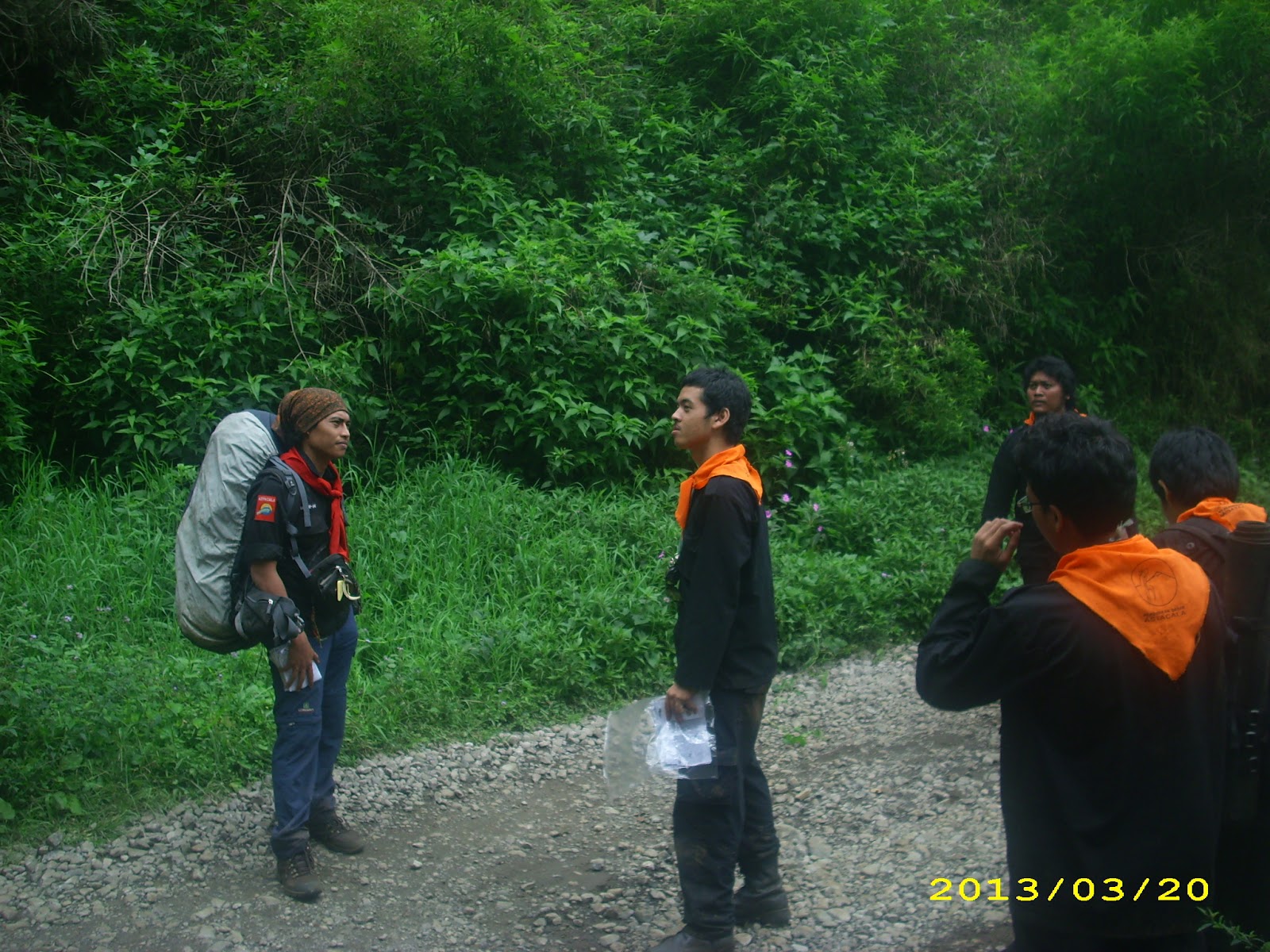 DSCI7741.JPG